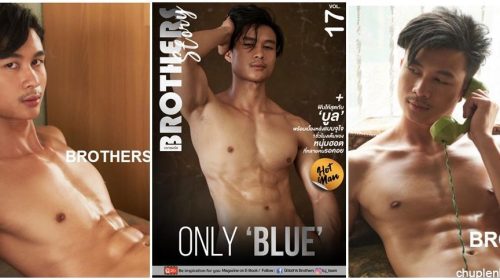 Brothers Story Vol 17 – Blue [Ebook+ 3 videos]